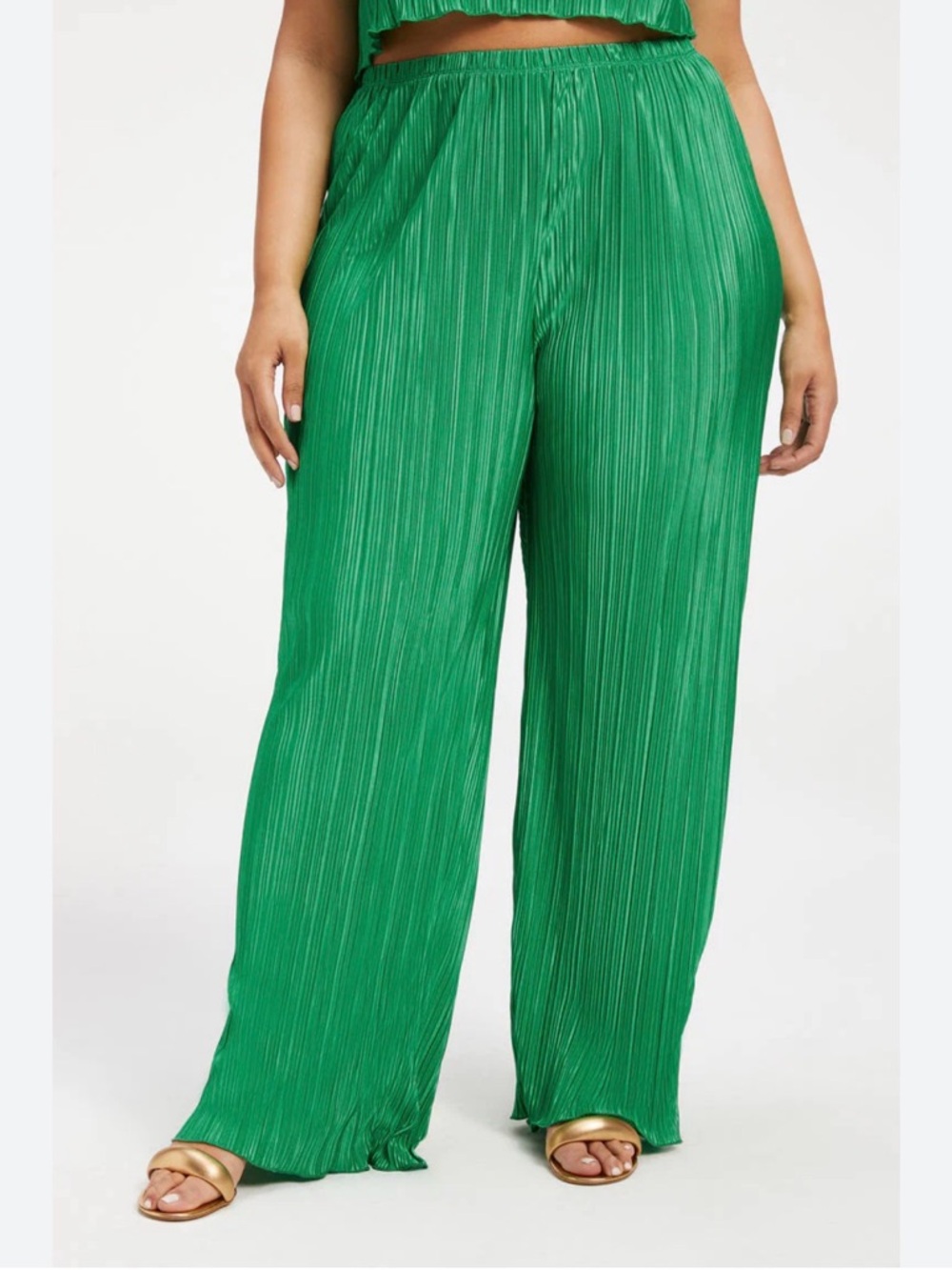 Small Green Pleated Wide-Leg Pants Size 6